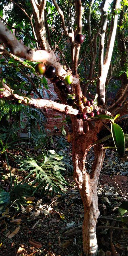 Cafe Com Arte Pousada Ecologica Botucatu Buitenkant foto